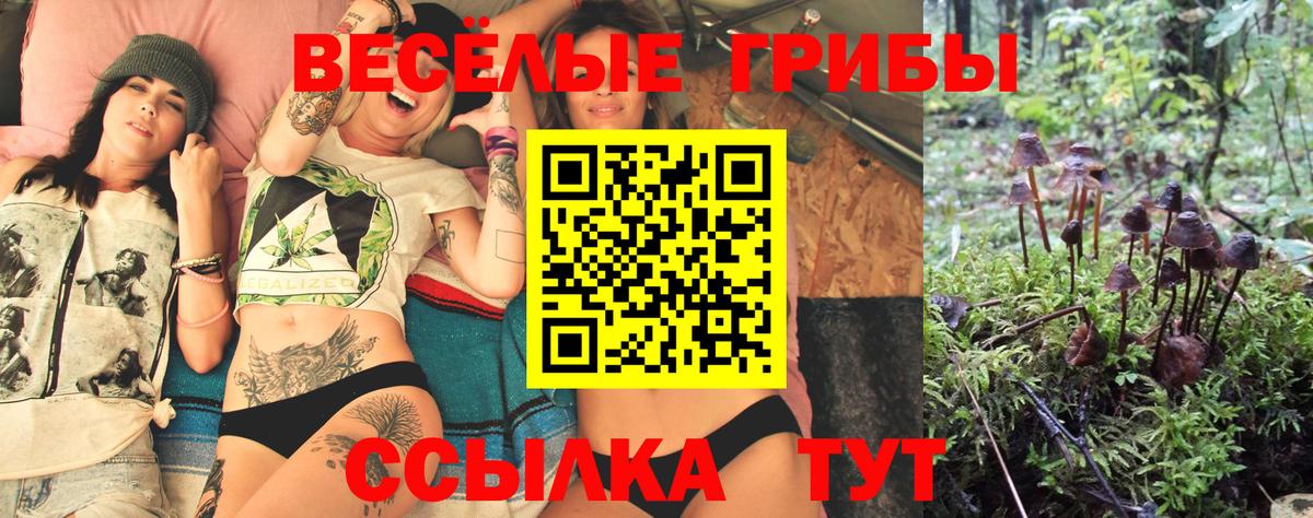 Псилоцибиновые грибы мухоморы Фрязино