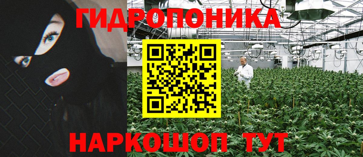 Конопля VHQ  Бошки марихуана White Widow  Вход с VPN  МАРИХУАНА индика  Фрязино 